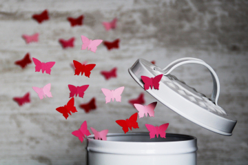 butterfly-4061336_1920